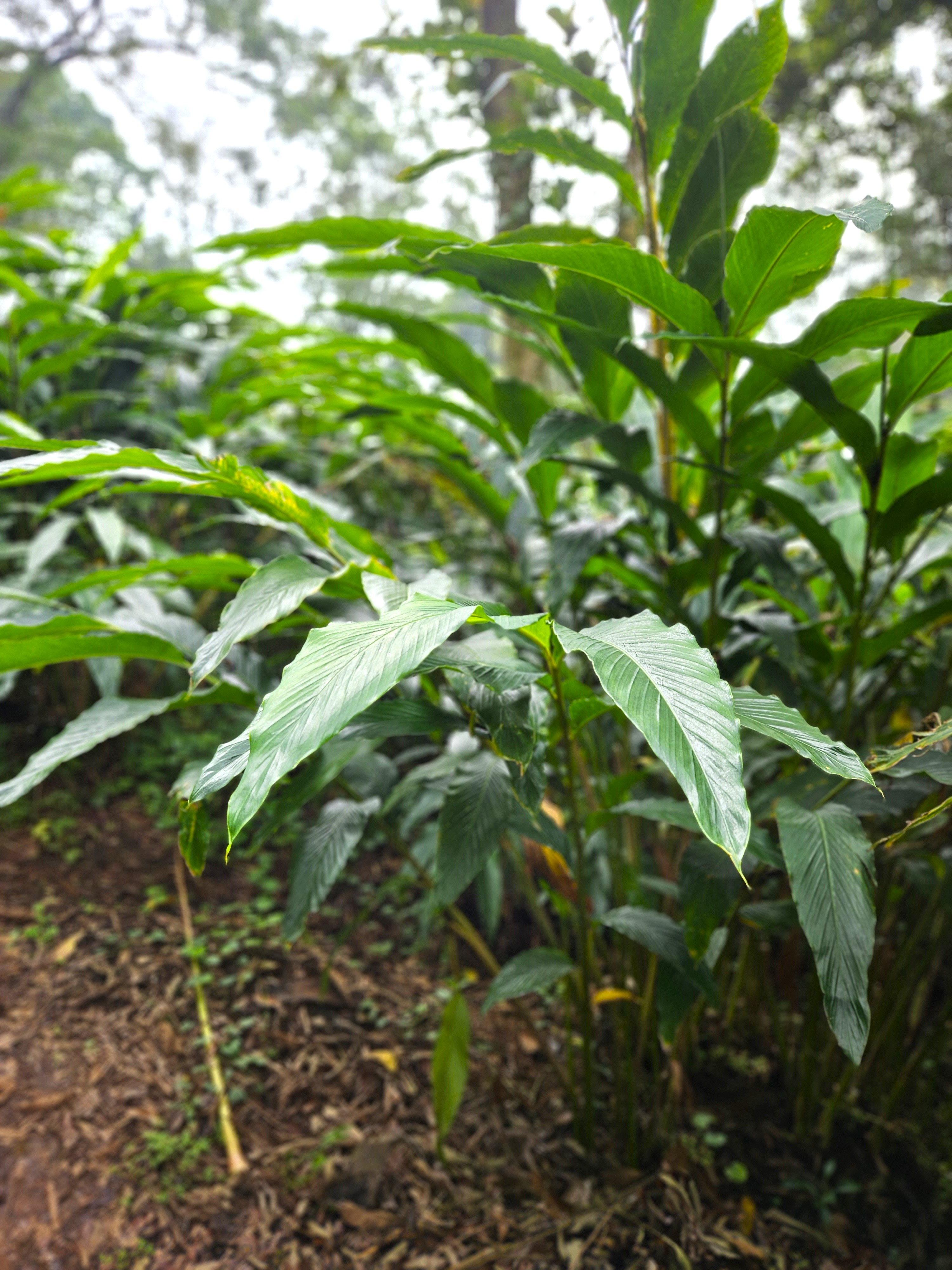 Organic inputs designed for long-term ecological balance.